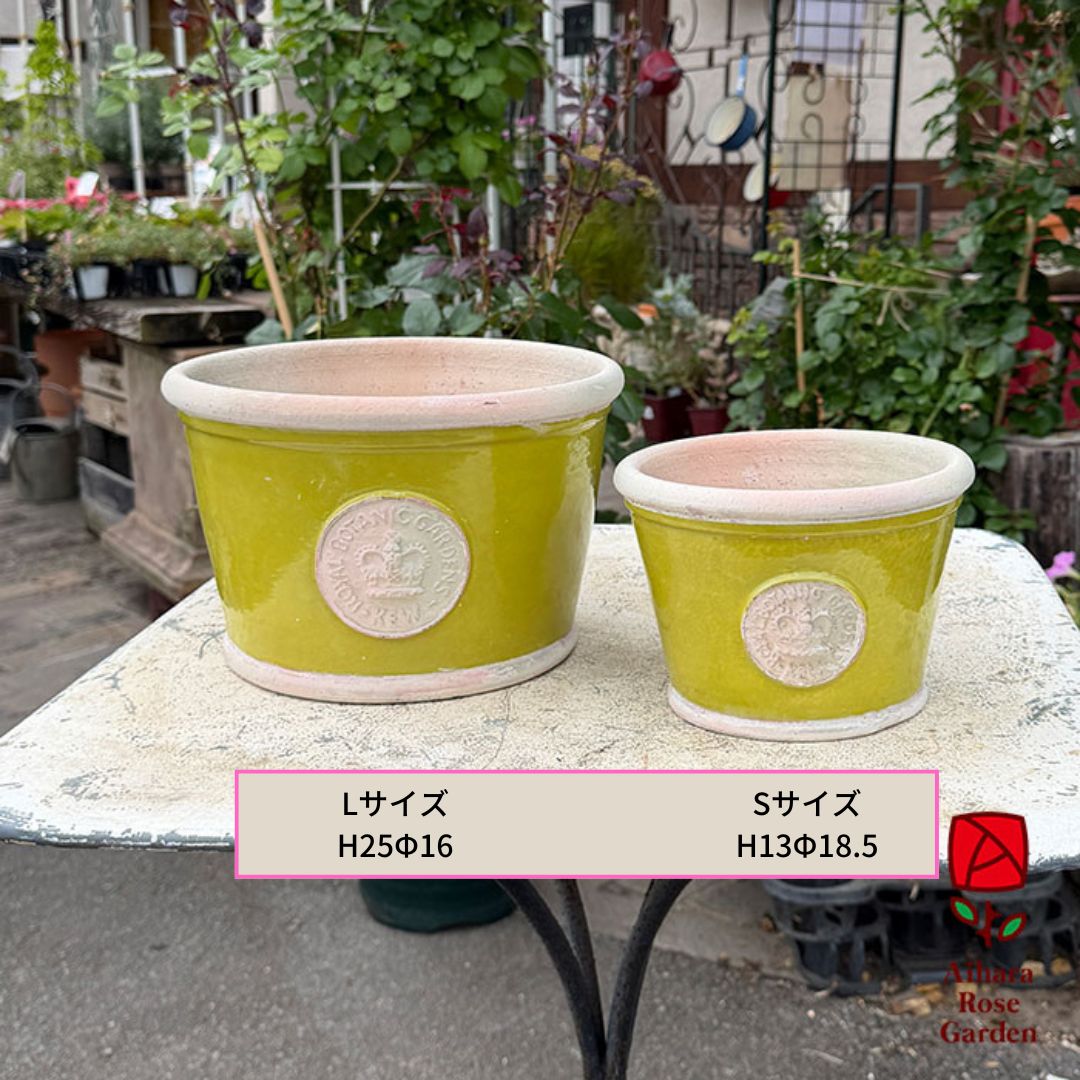 キューガーデンボウルポット（Rustic Green11）Lサイズ